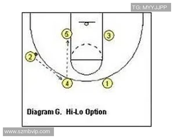 深圳排球队快攻战术深度解析与实战应用探讨
