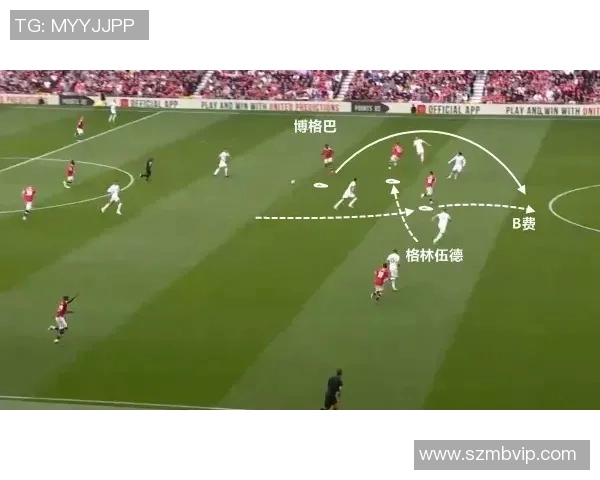 西安网球队灵活性深度解析及其他球队对比研究