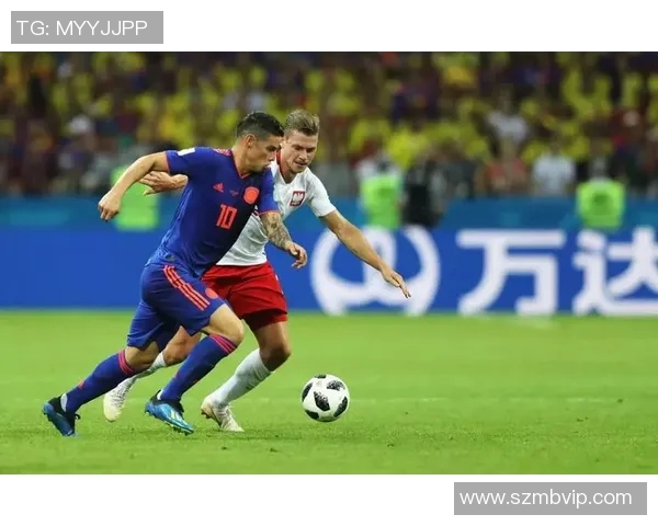 中国与波兰精彩对决全场回放分析与精彩时刻回顾